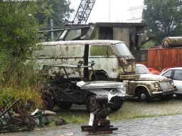 ws 251